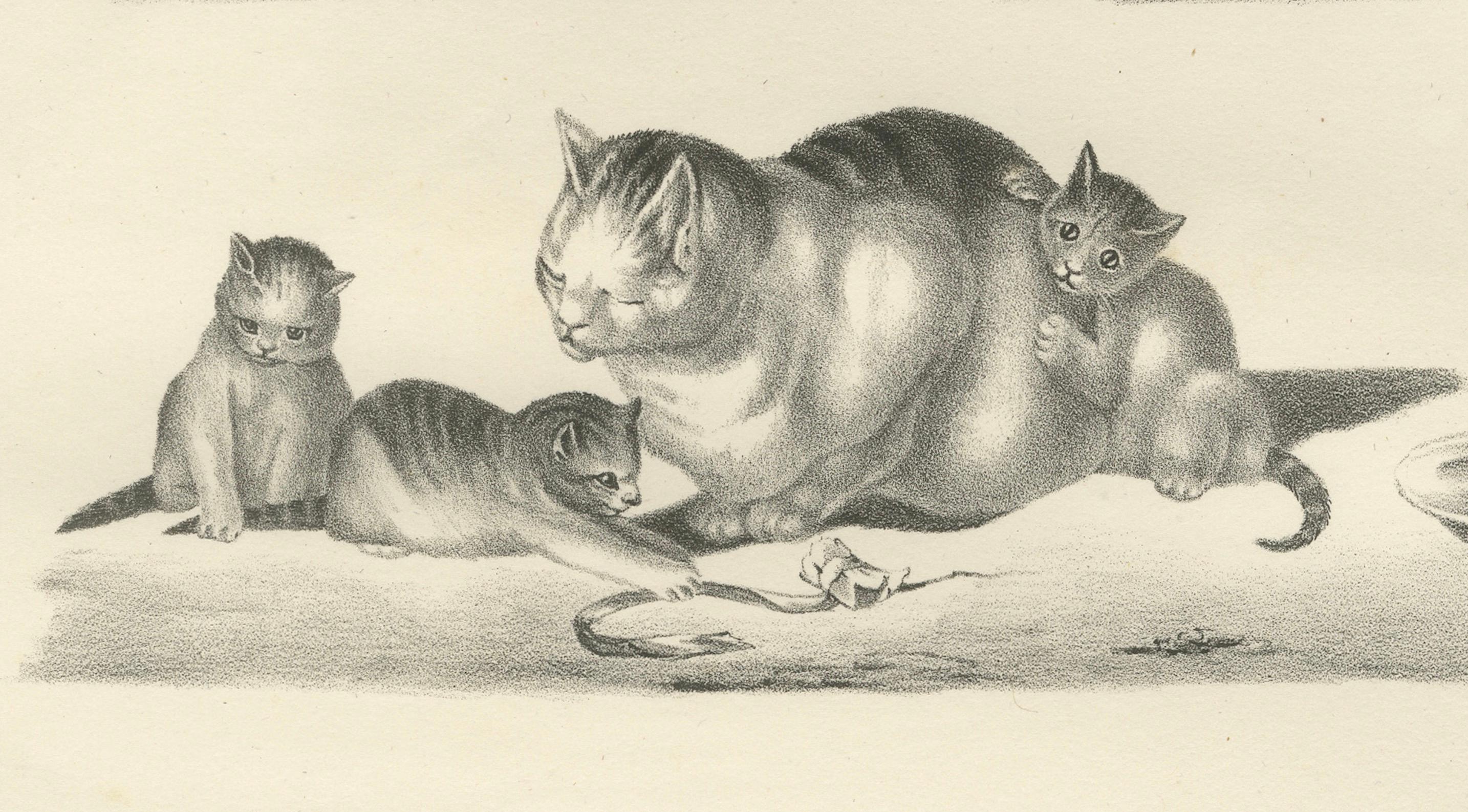 Milieu du XIXe siècle Lithographie du XIXe siècle représentant des chats domestiques dans des scènes de jeu et de soins en vente