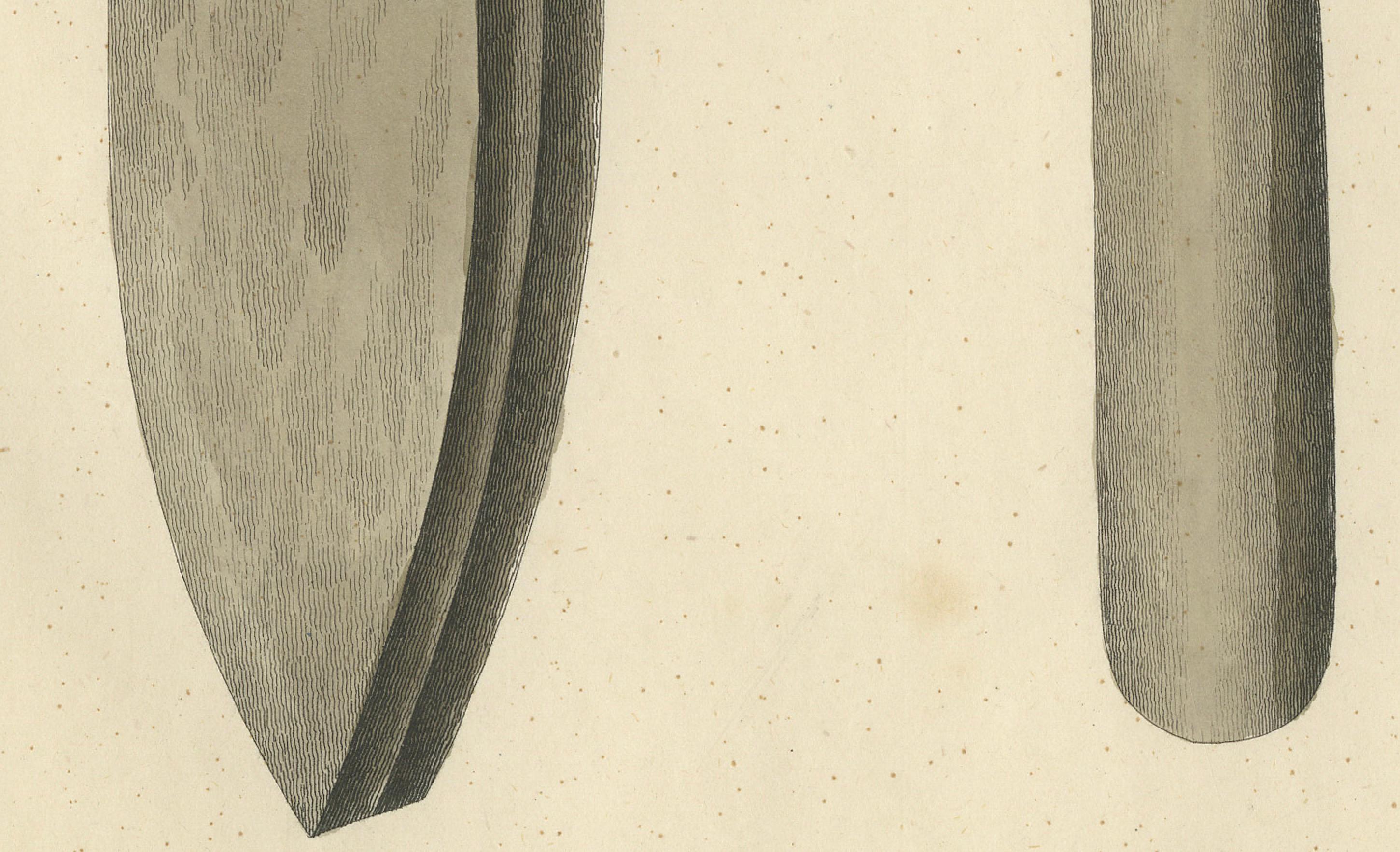 Mid-19th Century 19th-Century Lithograph of Early Stone Axes and Tools from Medieval Studies For Sale