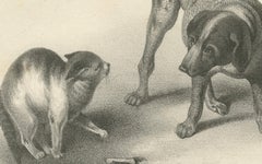 19th-Century Lithograph of Hunting Dogs and Dachshunds Interacting with Cats