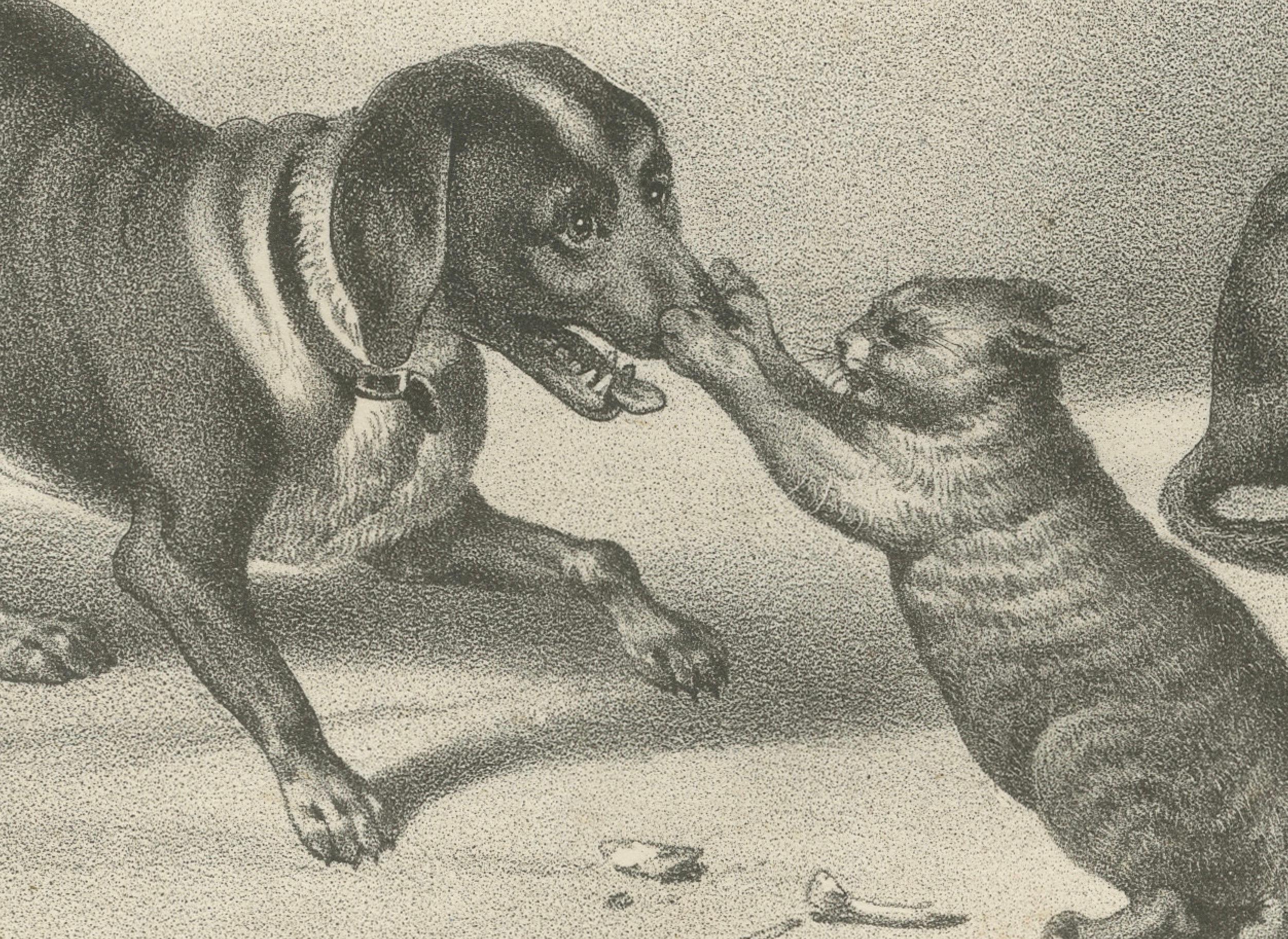 Gravé Lithographie du 19e siècle représentant des chiens de chasse et des teckels en compagnie de chats en vente