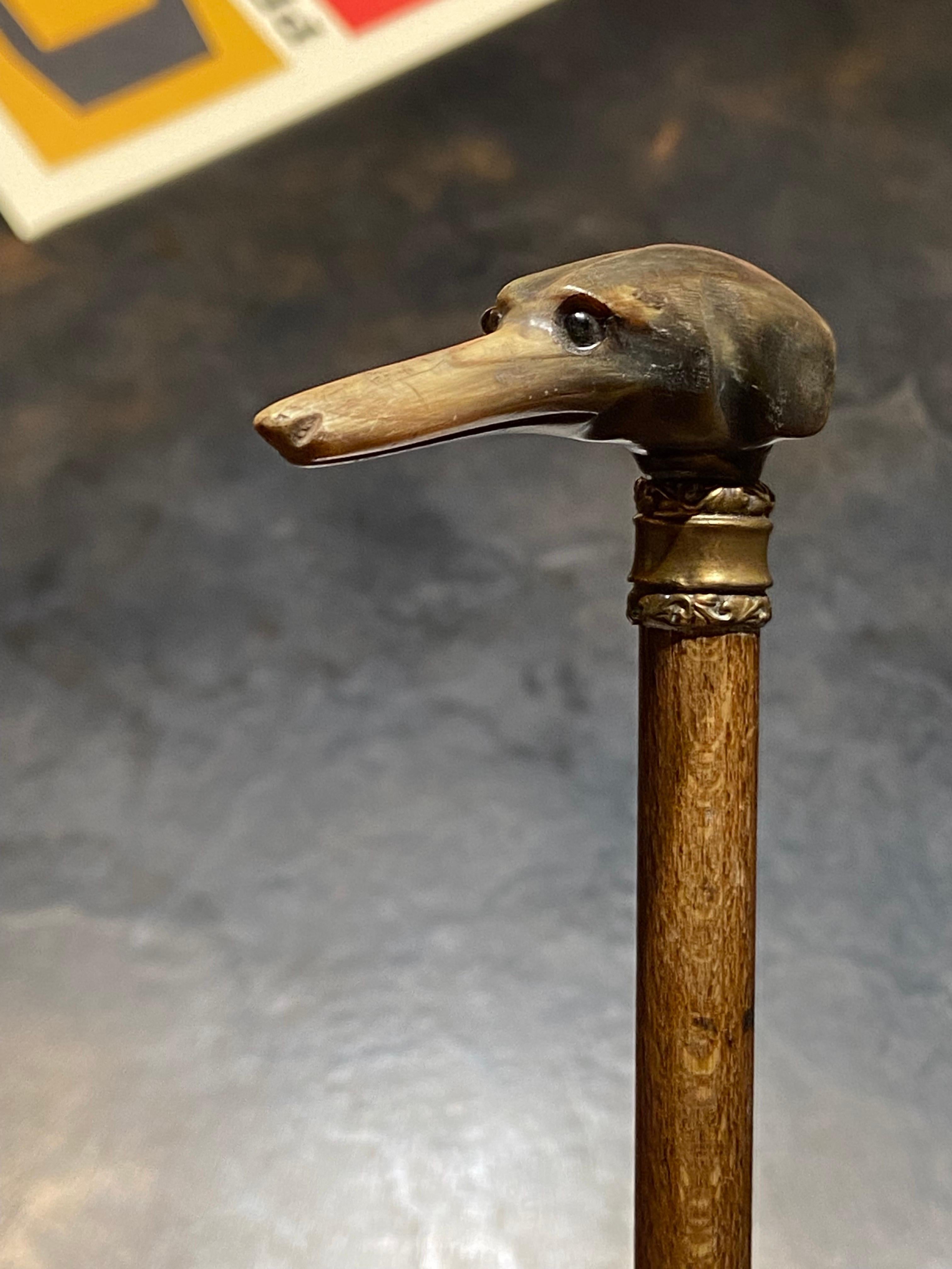 19th Century Long Handled Magnifying Glass with Wooden Handle and Greyhound Knob 1