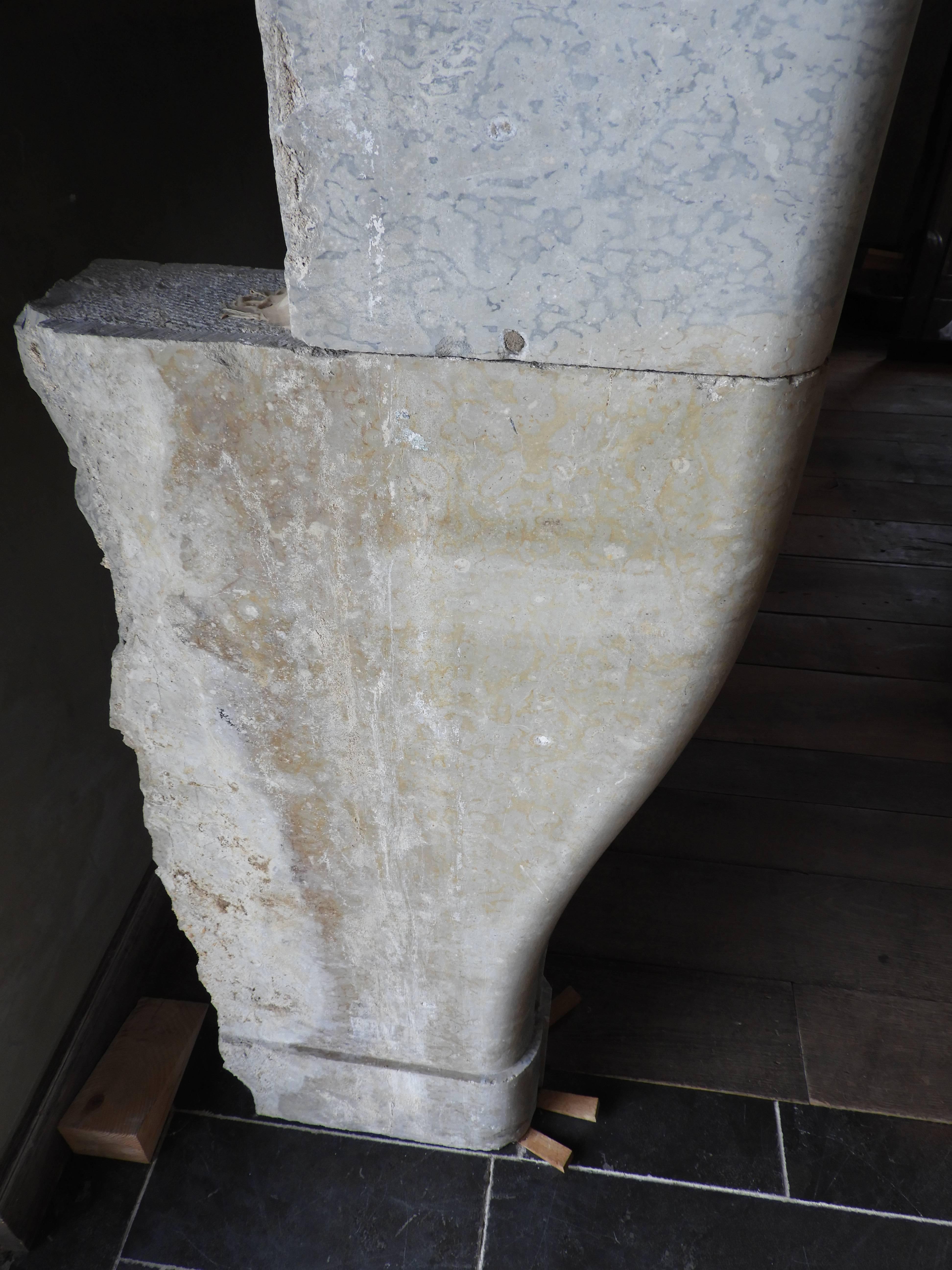 19th Century Louis 15 Jura Stone Fireplace  For Sale 7