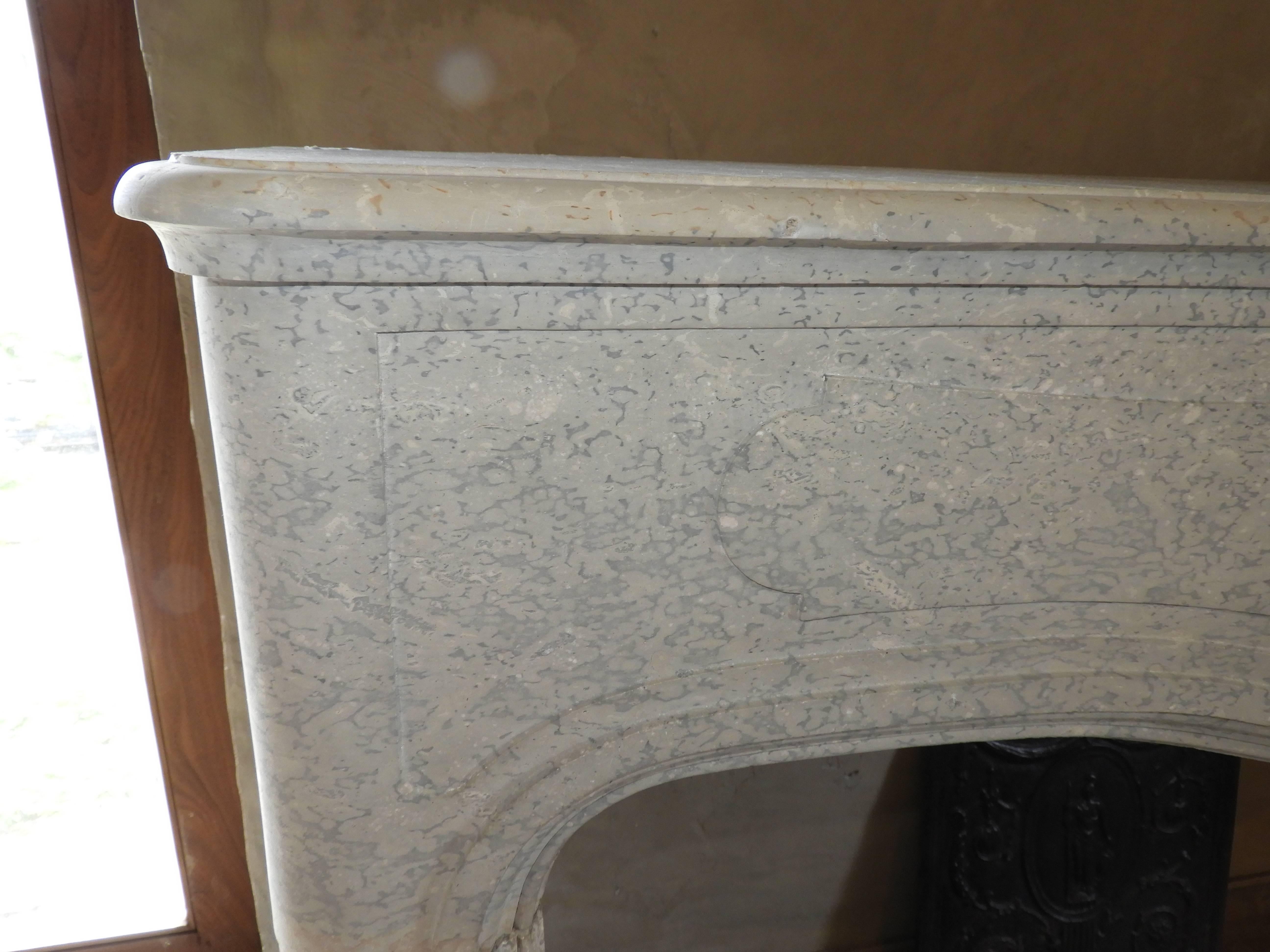 Hand-Carved 19th Century Louis 15 Jura Stone Fireplace  For Sale