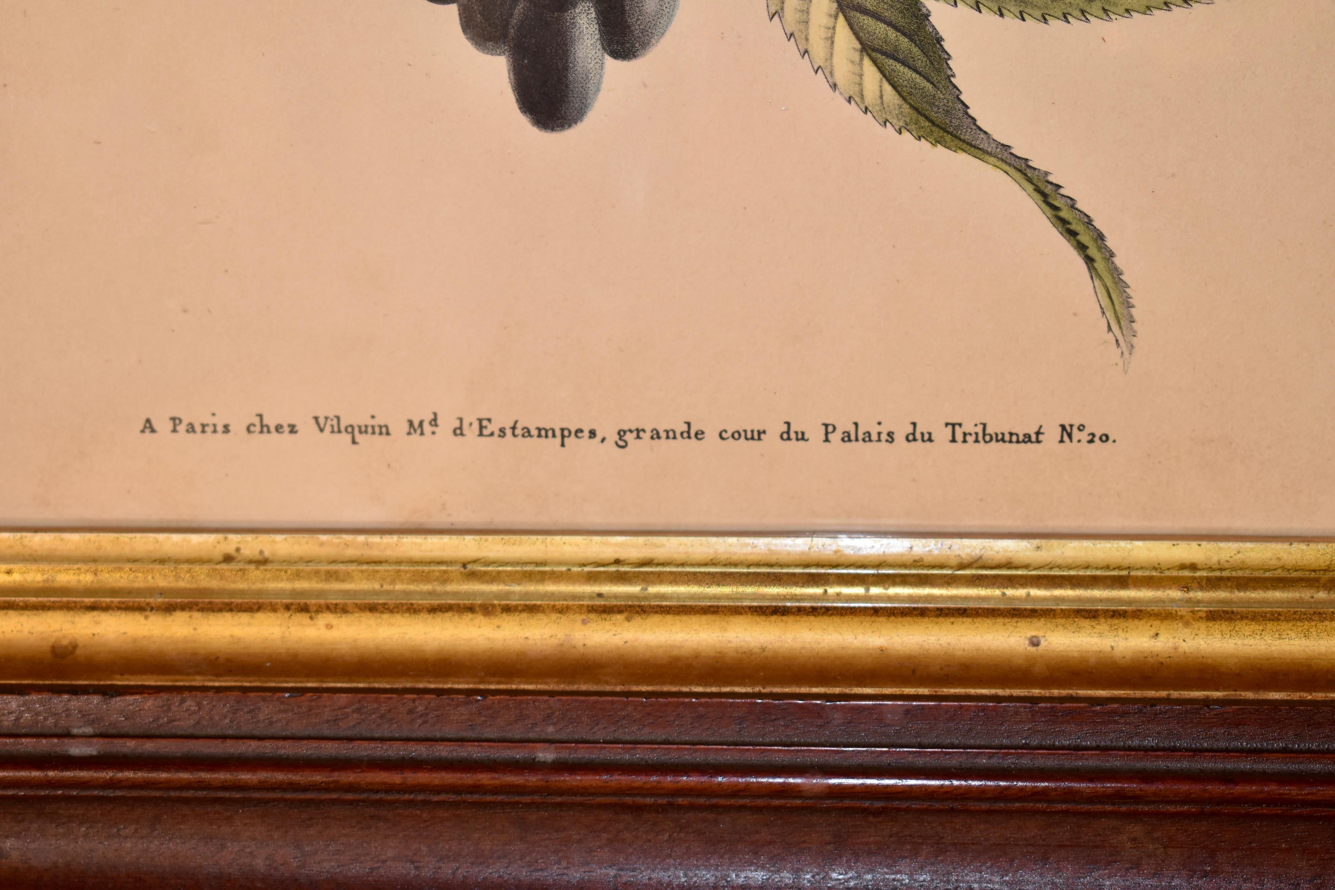Vetro soffiato Incisione di Louis Charles Ruotte del XIX secolo in vendita