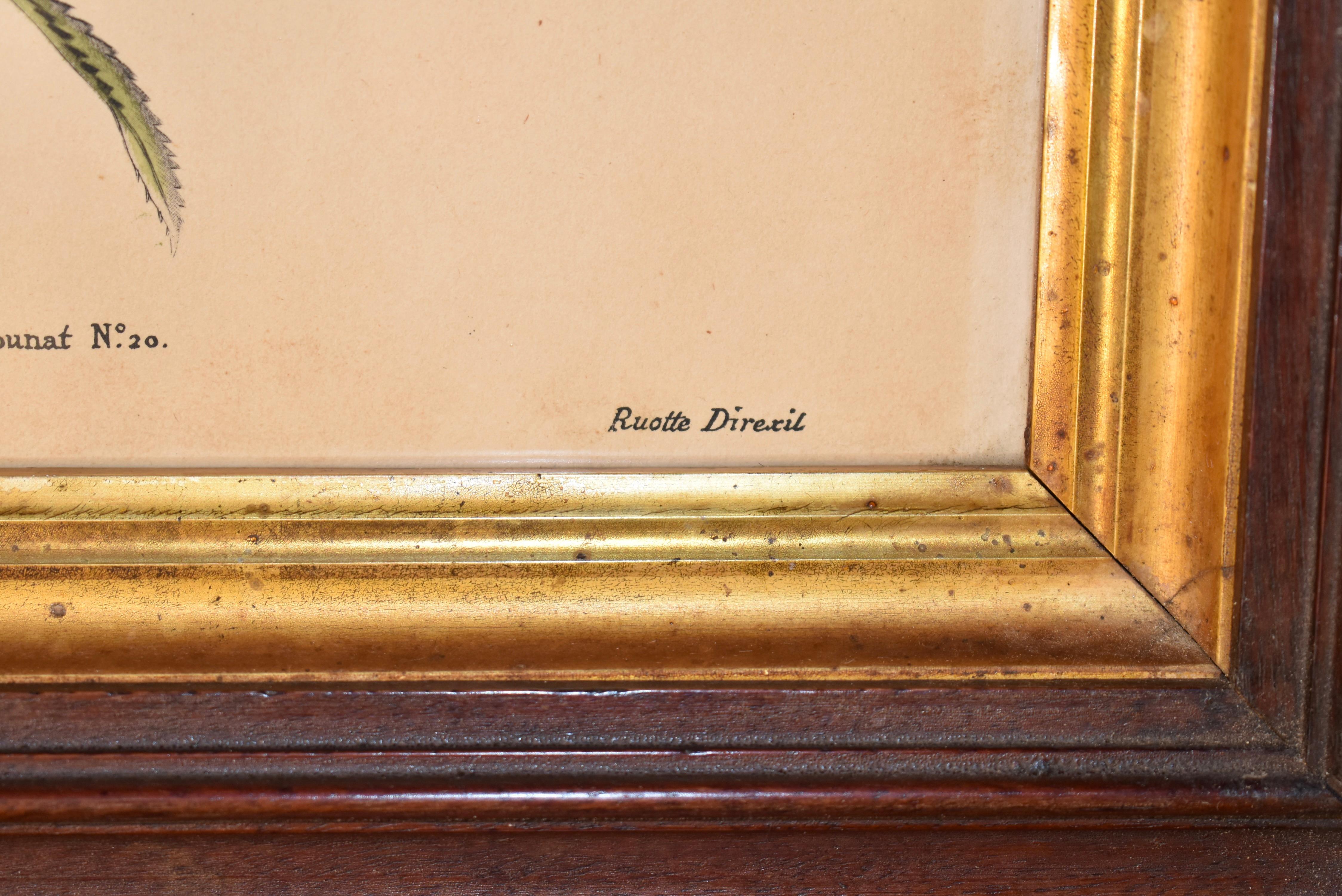 Incisione di Louis Charles Ruotte del XIX secolo in vendita 2