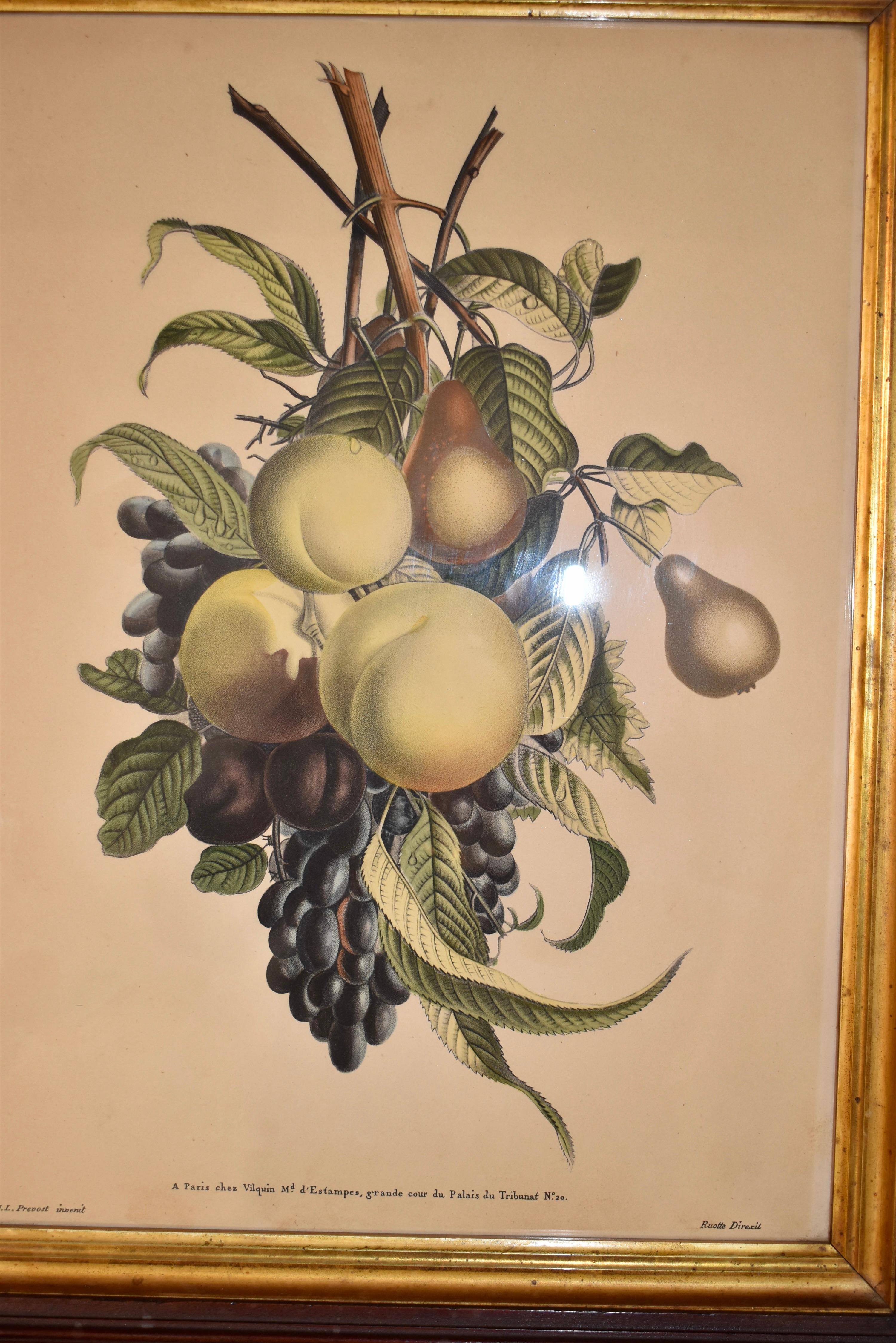 Incisione di Louis Charles Ruotte del XIX secolo in vendita 3