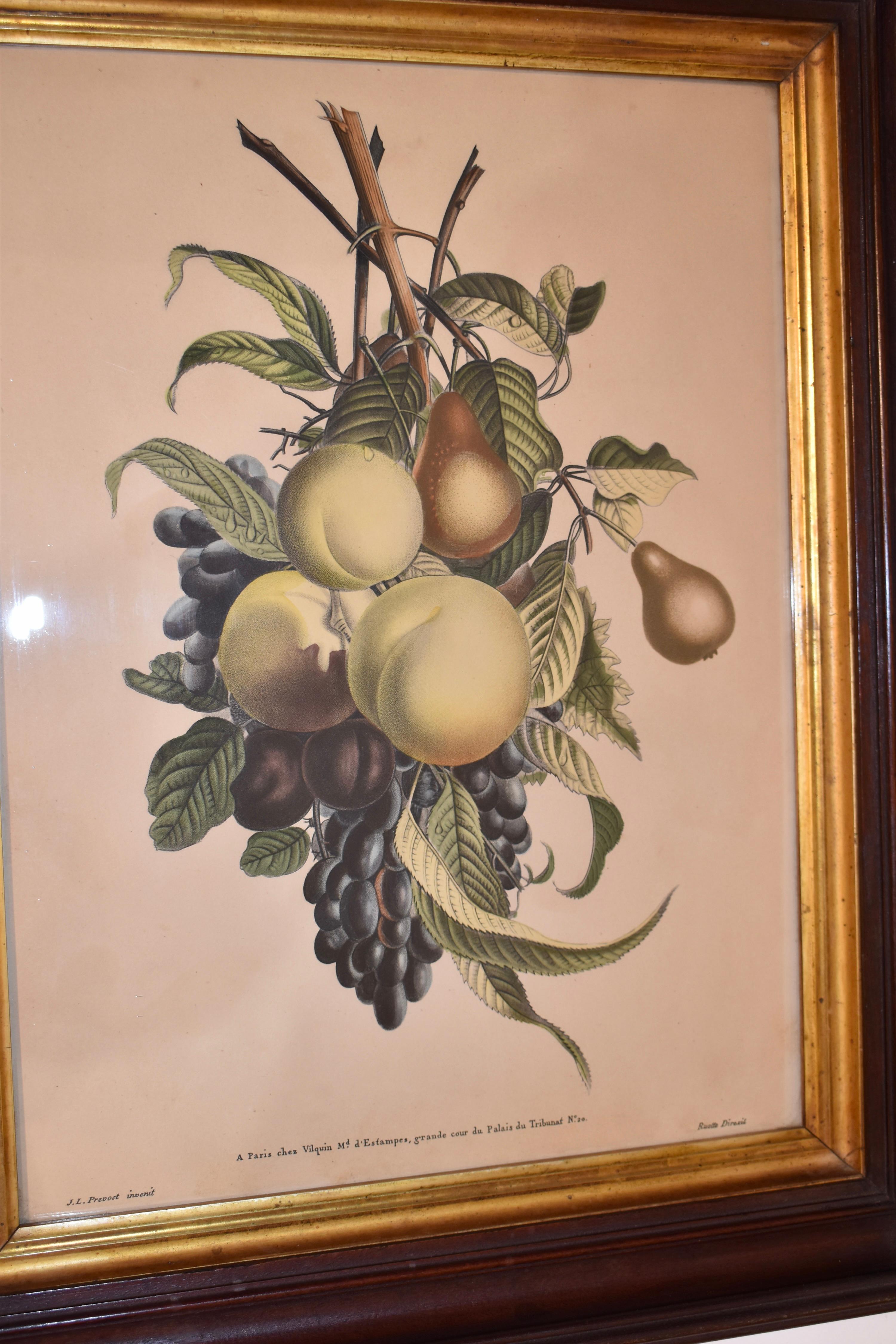 Incisione di Louis Charles Ruotte del XIX secolo in vendita 4