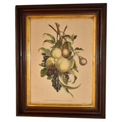 Incisione di Louis Charles Ruotte del XIX secolo