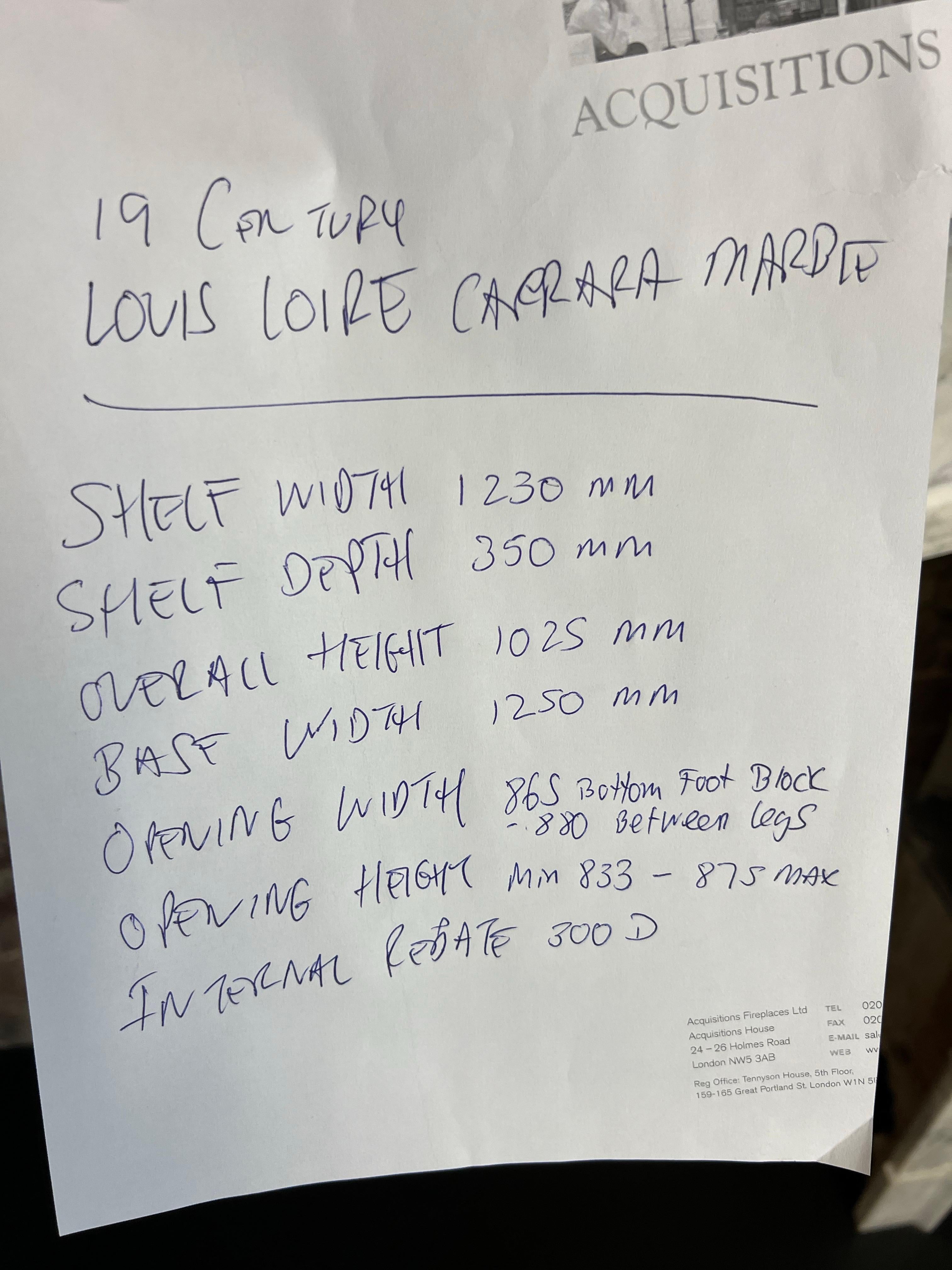 Caminetto Louis Petite in marmo di Carrara del XIX secolo in vendita 11