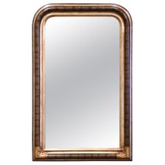 19th Century Louis Philippe Carved Two-Tone Gilt and Painted Wall Mirror