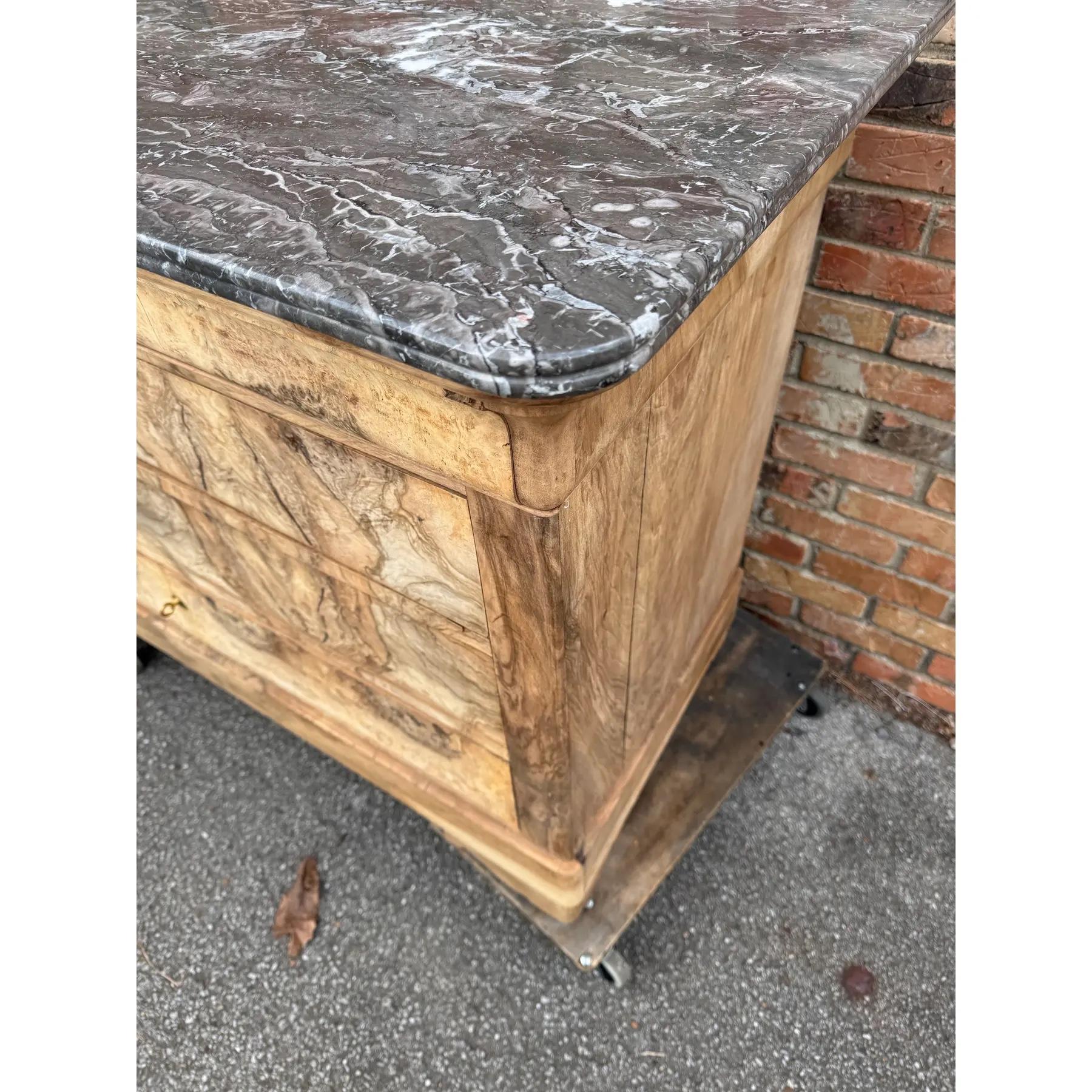 19th Century Louis Philippe Chest For Sale 2