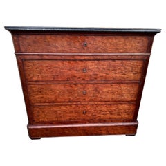 19th Century Louis Philippe Chest