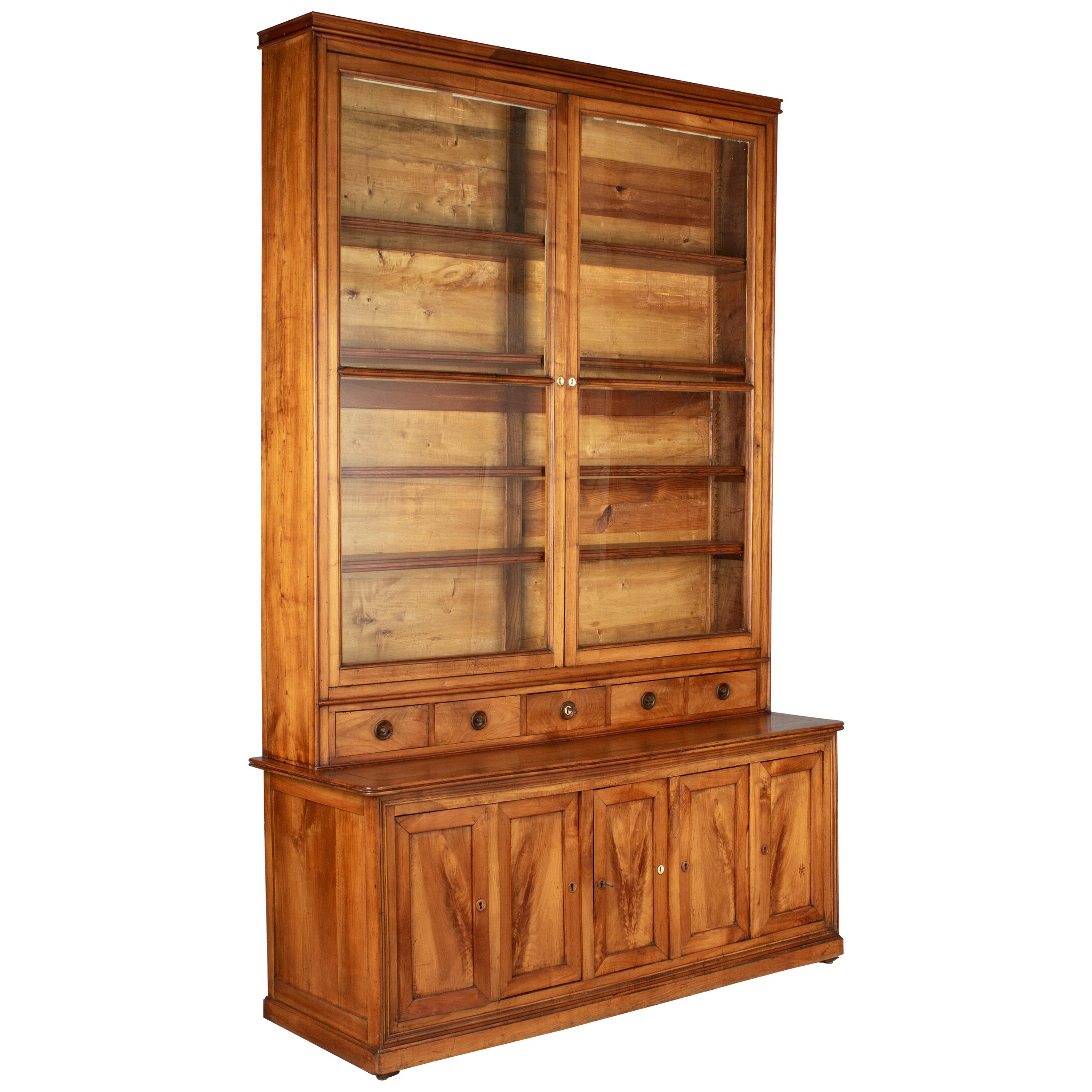 19th Century Louis Philippe Display Cabinet or Bibliotheque