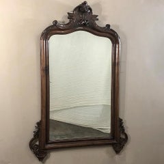 19th Century Louis Philippe Period Rosewood Mirror