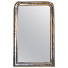 19th Century Louis Philippe Silver Gilded Mirror