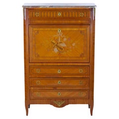 Antique 19th Century Louis Philippe Style Fall Front Secretary Chest