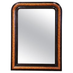 19th Century Louis Philippe Two-Tone Faux Burl Wood Wall Mirror