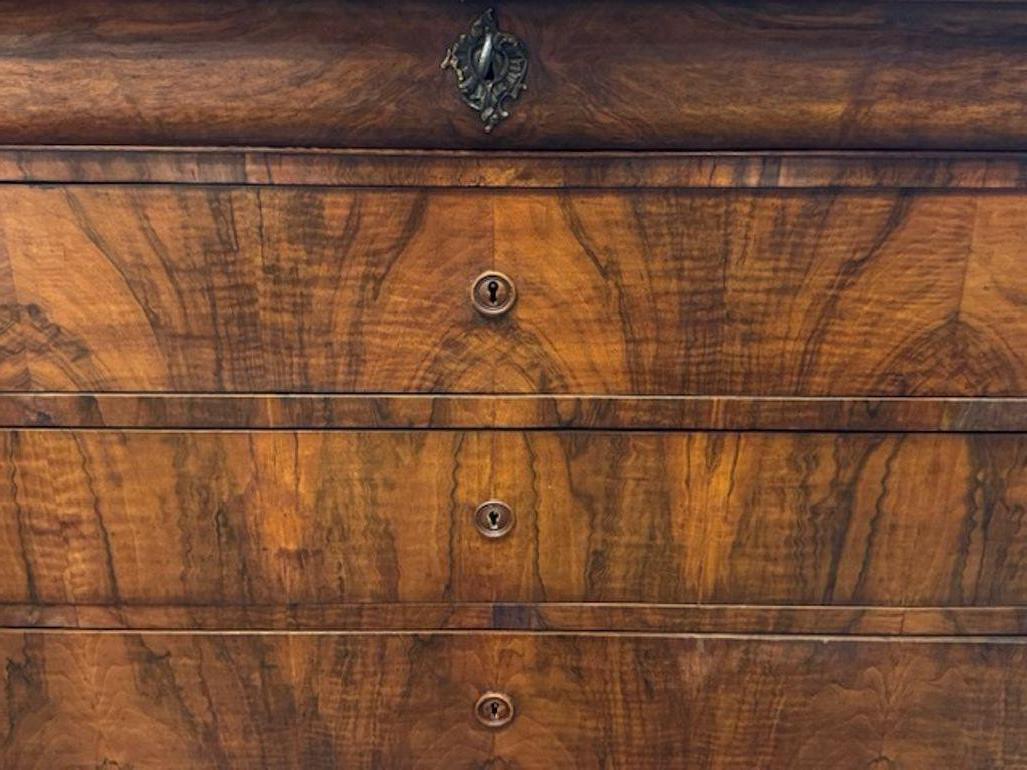 Noyer Commode en noyer Louis Philippe du 19ème siècle en vente