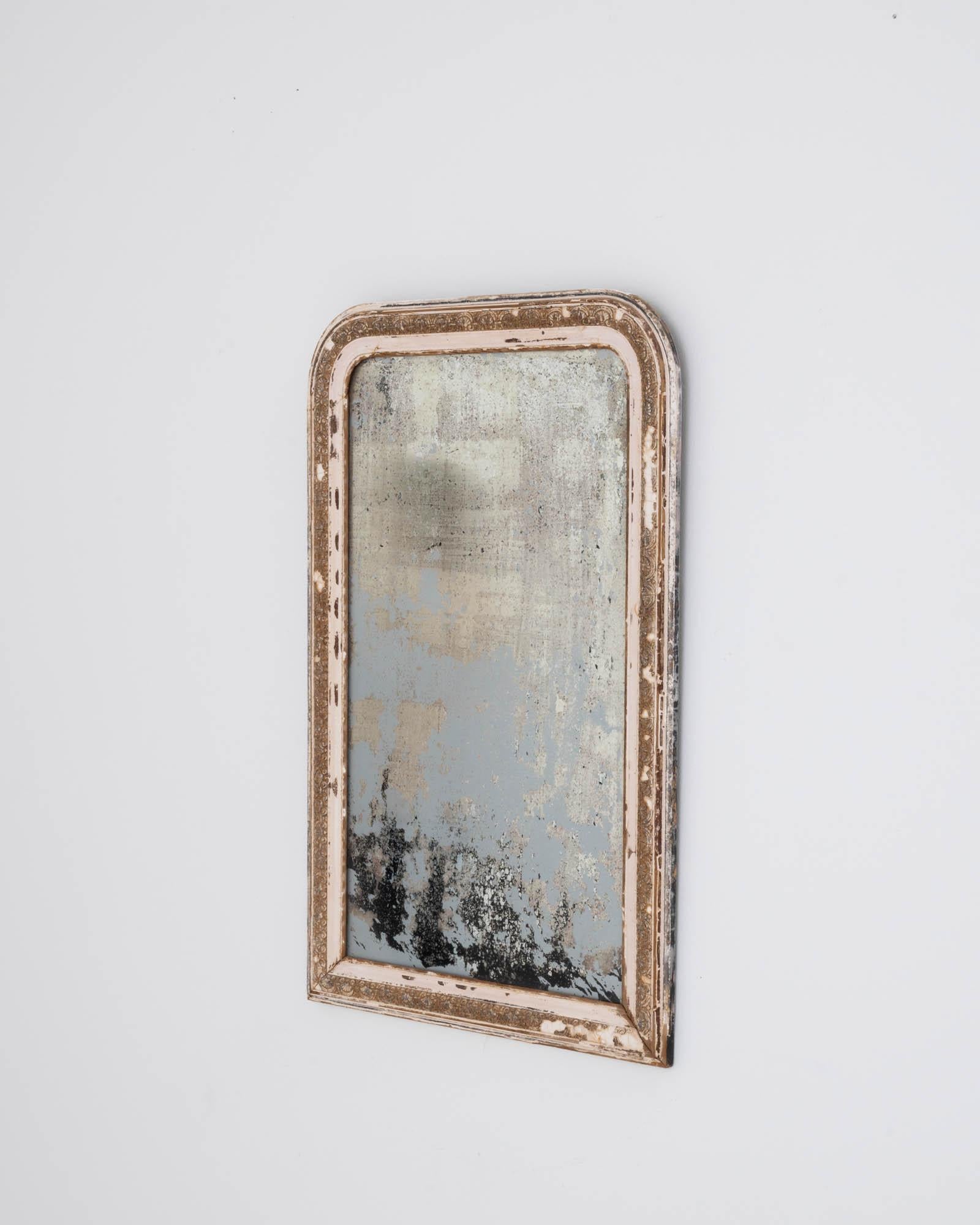 19th Century Louis Phillipe French Patinated Mirror 2