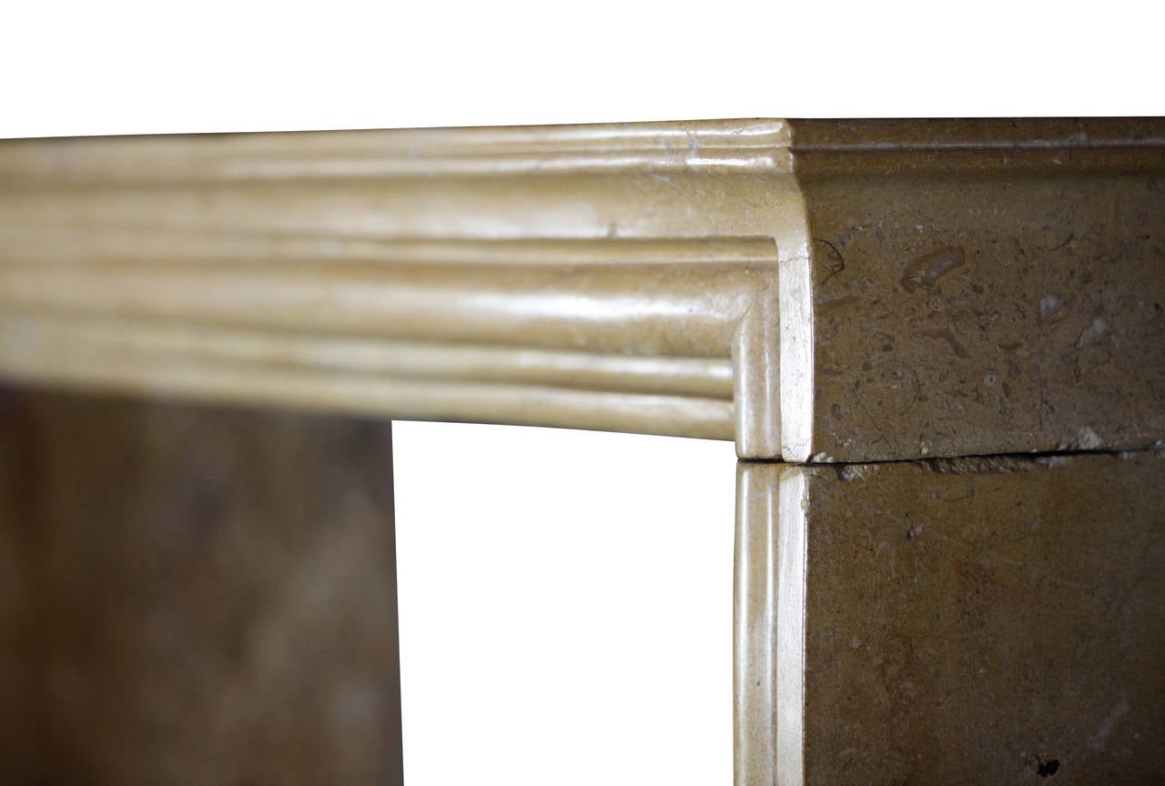 19. Jahrhundert Louis XIV Stil Französisch Honey Kalkstein antiken Kamin Mantel im Zustand „Gut“ im Angebot in Beervelde, BE