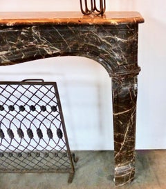 19th Century Louis XV French charcoal Marble Fireplace Surround Mantel