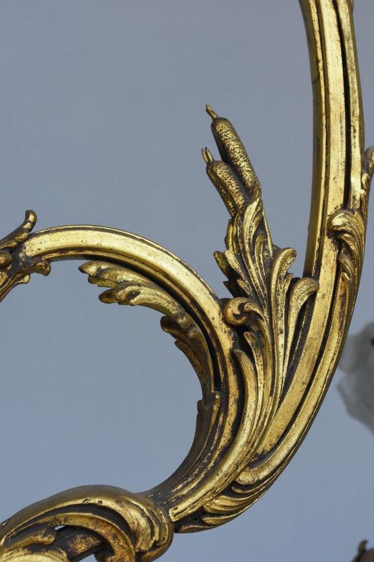 19th century Louis XV French tulip chandelier a with eleven lights. Gilt bronze and glass.