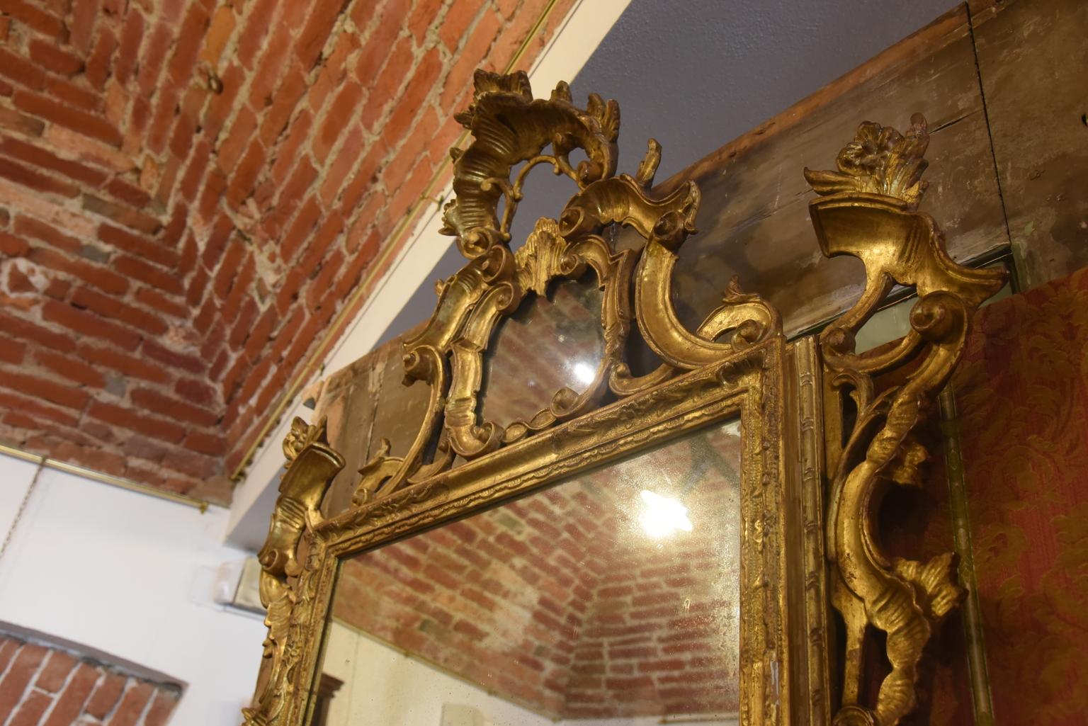 19th century Louis XV Mirror Carved Gilded Wood Antique Mirror in Mercury, 1800s In Good Condition For Sale In Torino, Torino