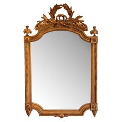 19th Century Louis XVI Mirror