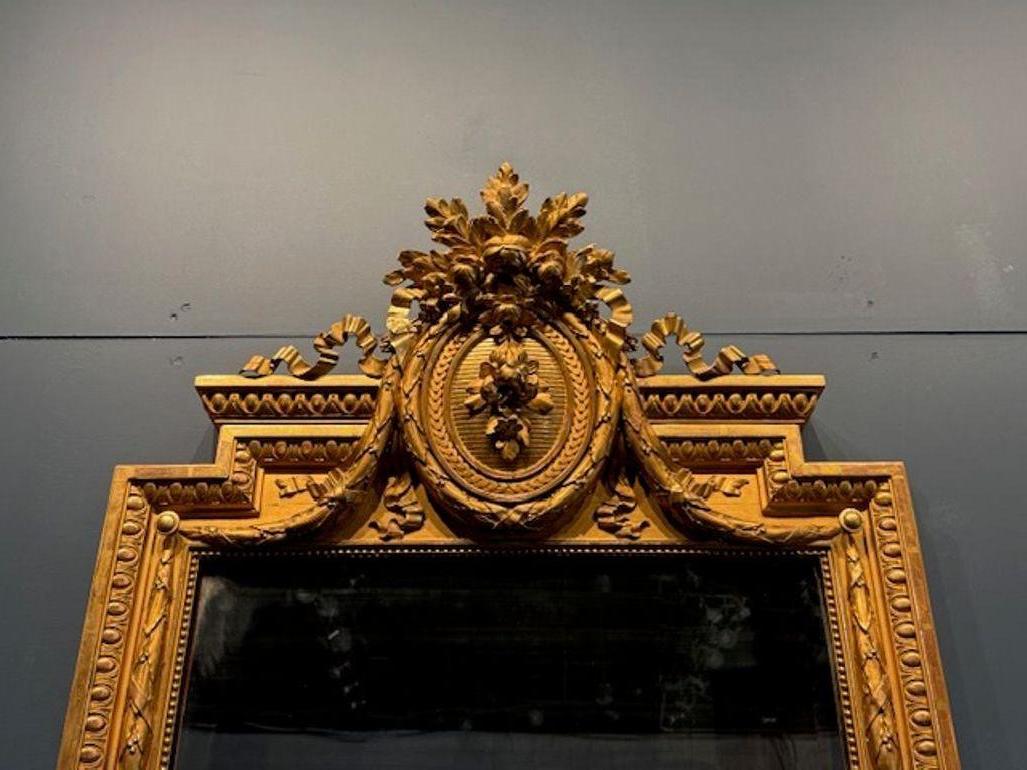 Eleganza del XIX secolo con lo specchio da terra Luigi XVI Narrow Carved and Giltwood. La finitura a specchio della cornice aggiunge un tocco luminoso, mentre la squisita lavorazione del materiale della cornice in oro emana raffinatezza. Perfetto