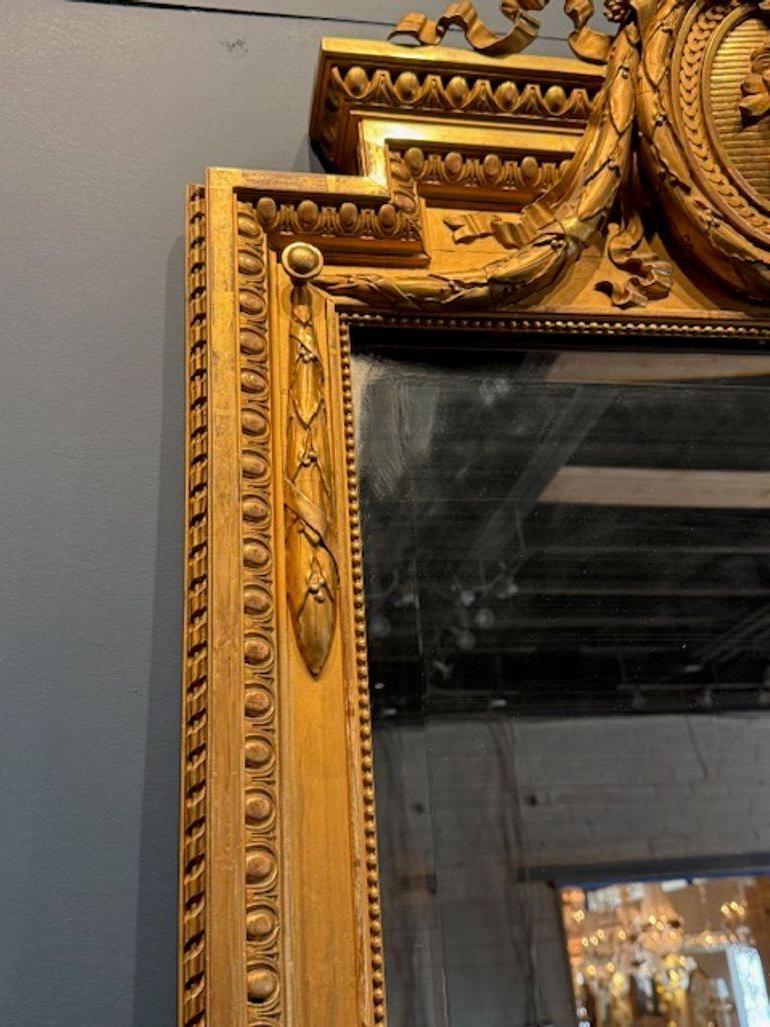 Specchio da terra Luigi XVI del XIX secolo, stretto, intagliato e in legno dorato in vendita 1