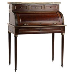 19th Century Louis XVI Roll-Top Desk in Dark Mahogany, France