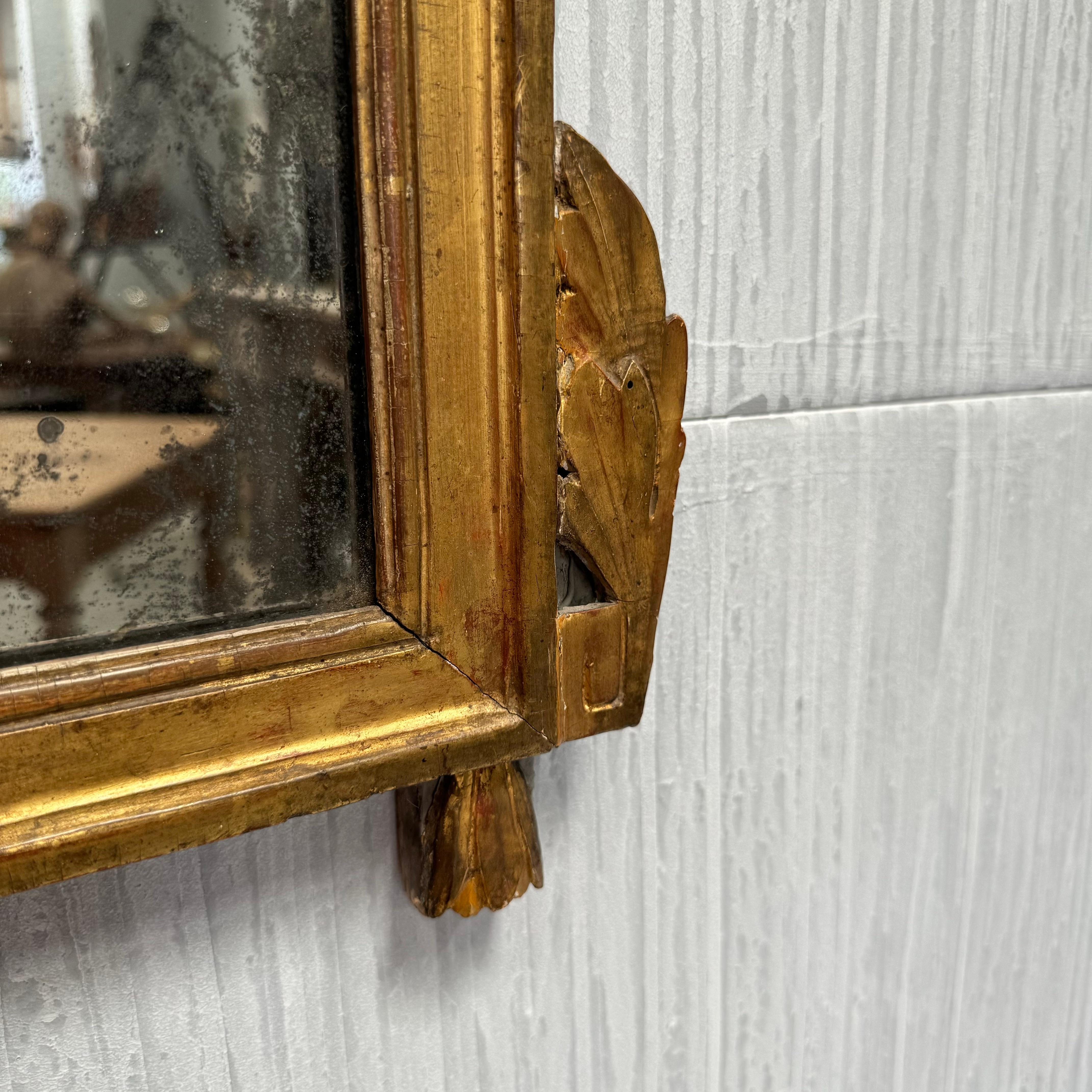 19. Jahrhundert Louis XVI Stil Französisch Giltwood Bridal Spiegel im Angebot 1