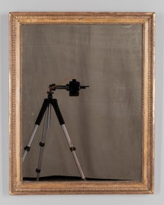 19th Century Louis XVI Style Gilded Mirror