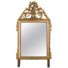 19th Century Louis XVI Style Gilded Mirror