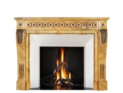 19th Century Louis XVI Style Marble Fireplace With Brass From Grand Salon