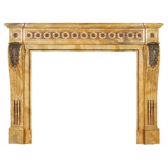 19th Century Louis XVI Style Marble Fireplace With Brass From Grand Salon
