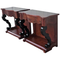19th Century Low Pair of Console Tables or Nightstands in Mahogany