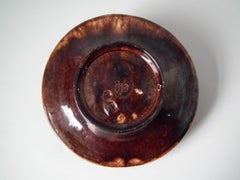 19th Century Mafra Palissy Majolica Snake, Toad & Tortoise Plate