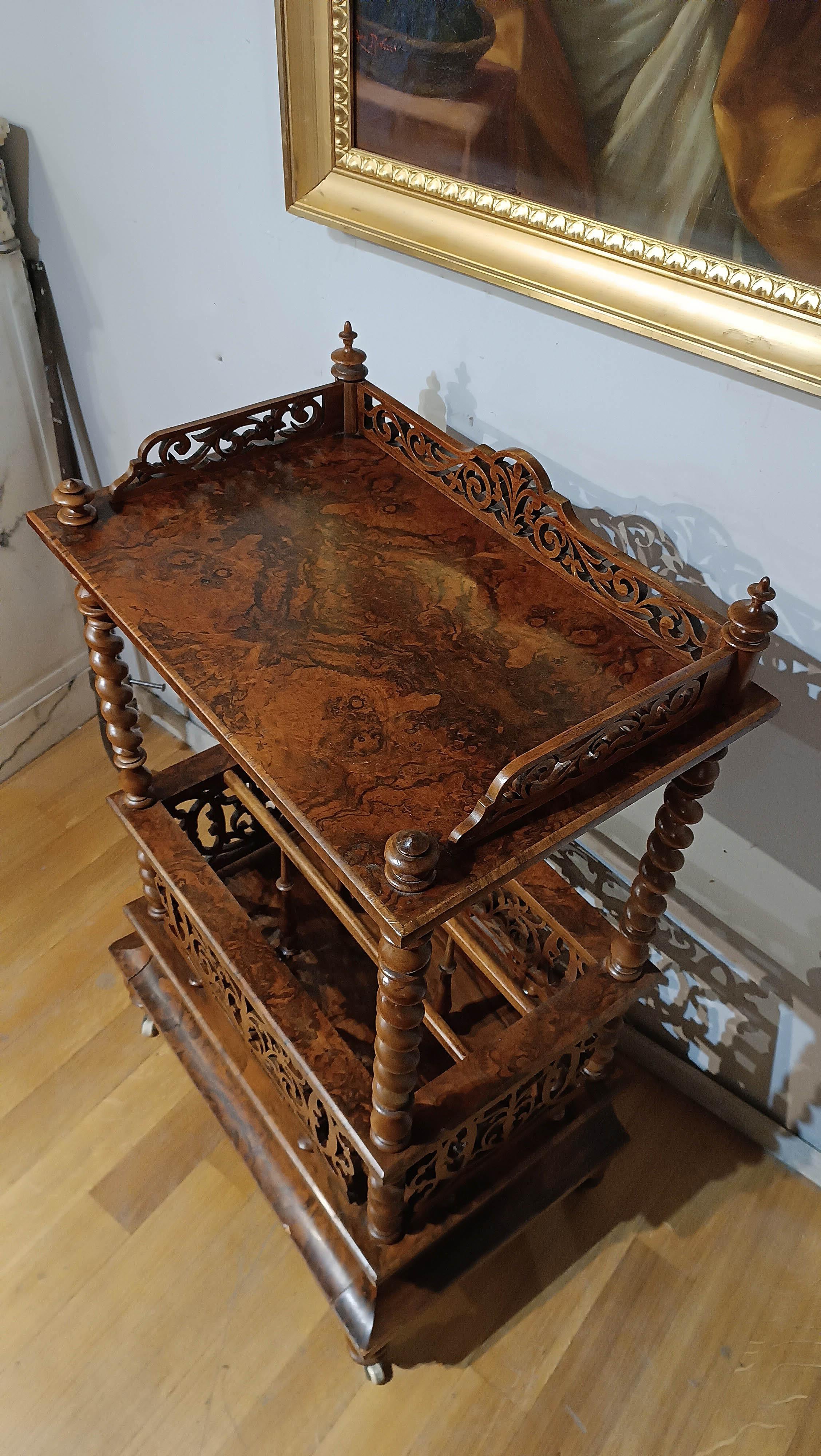 19th Century 19th CENTURY MAGAZINE RACK IN BRIAR AND SOLID WALNUT For Sale