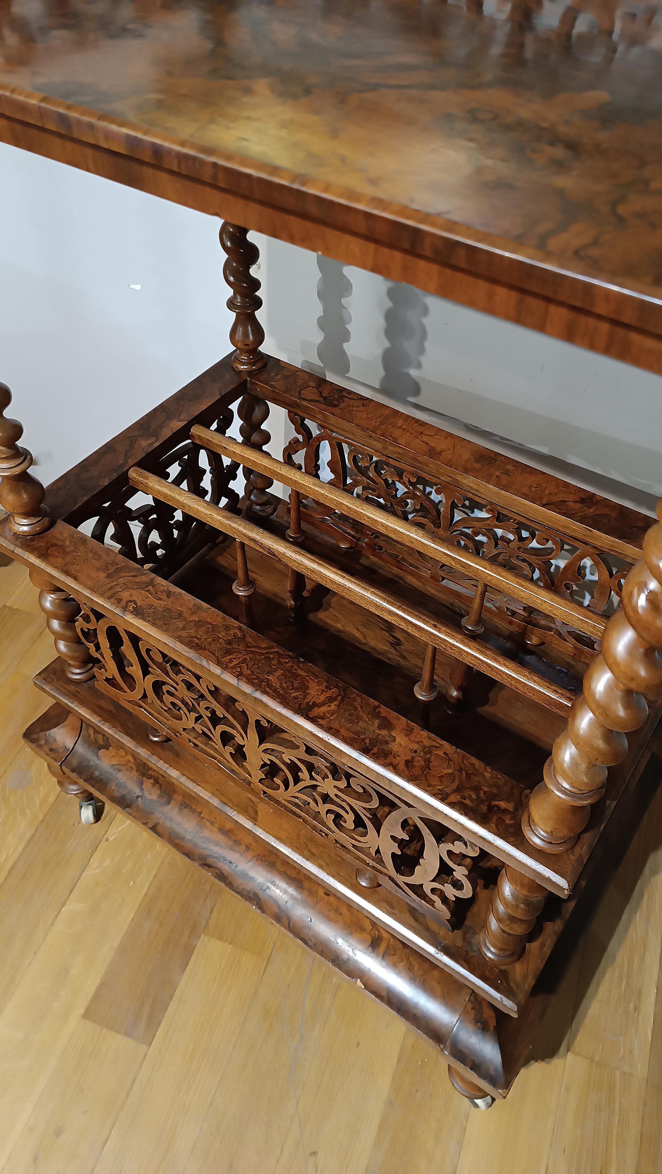 Wood 19th CENTURY MAGAZINE RACK IN BRIAR AND SOLID WALNUT For Sale
