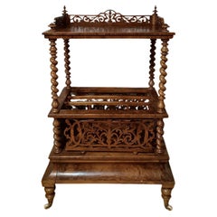 Antique 19th CENTURY MAGAZINE RACK IN BRIAR AND SOLID WALNUT