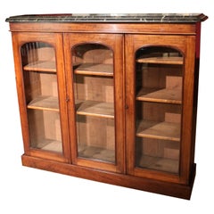 Antique 19th Century Mahogany 3 Door Bookcase