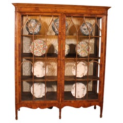 19th Century Mahogany And Burl Walnut Display Cabinet With Lighting
