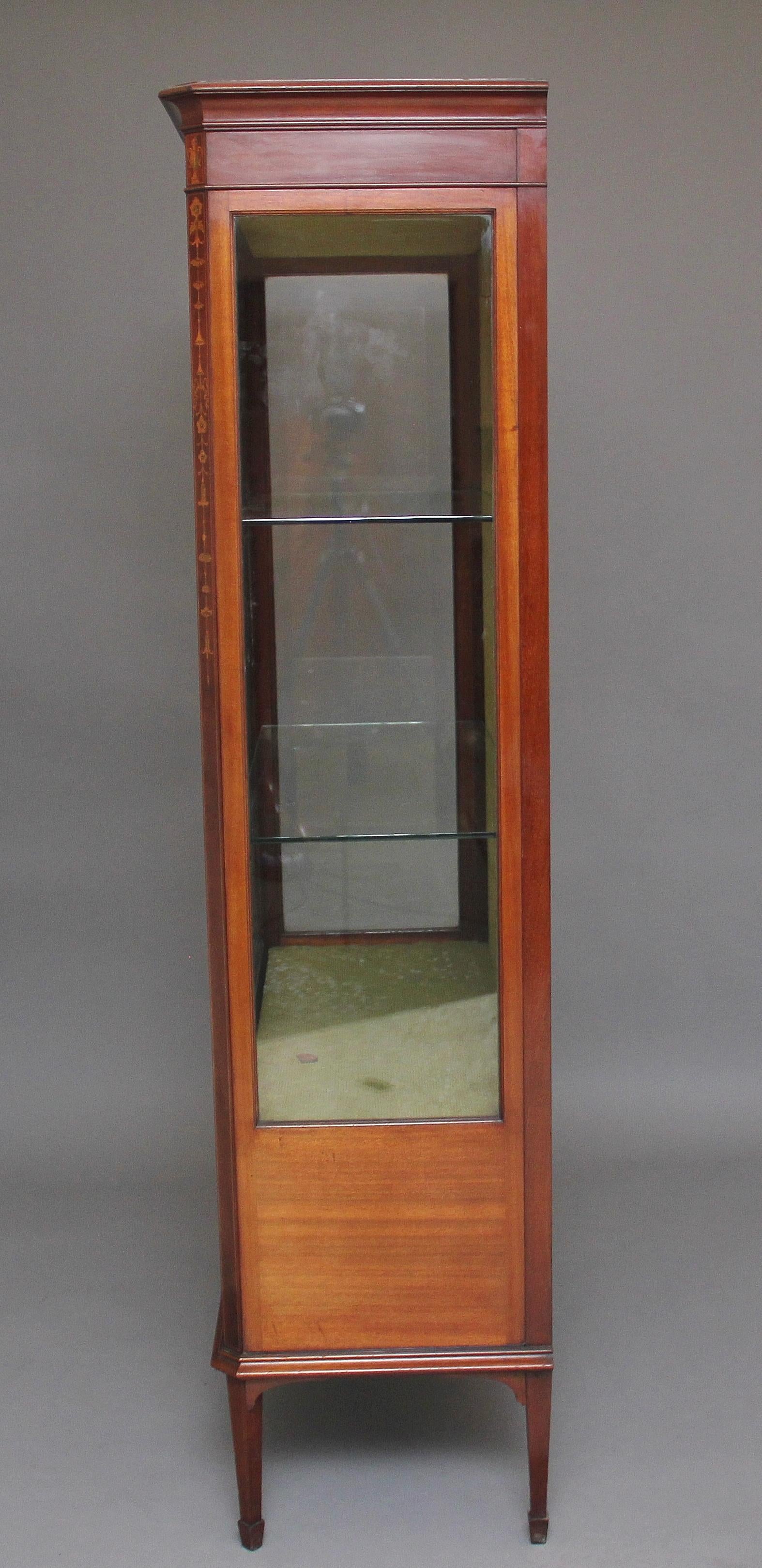 19th Century Mahogany and Inlaid Display Cabinet For Sale 1