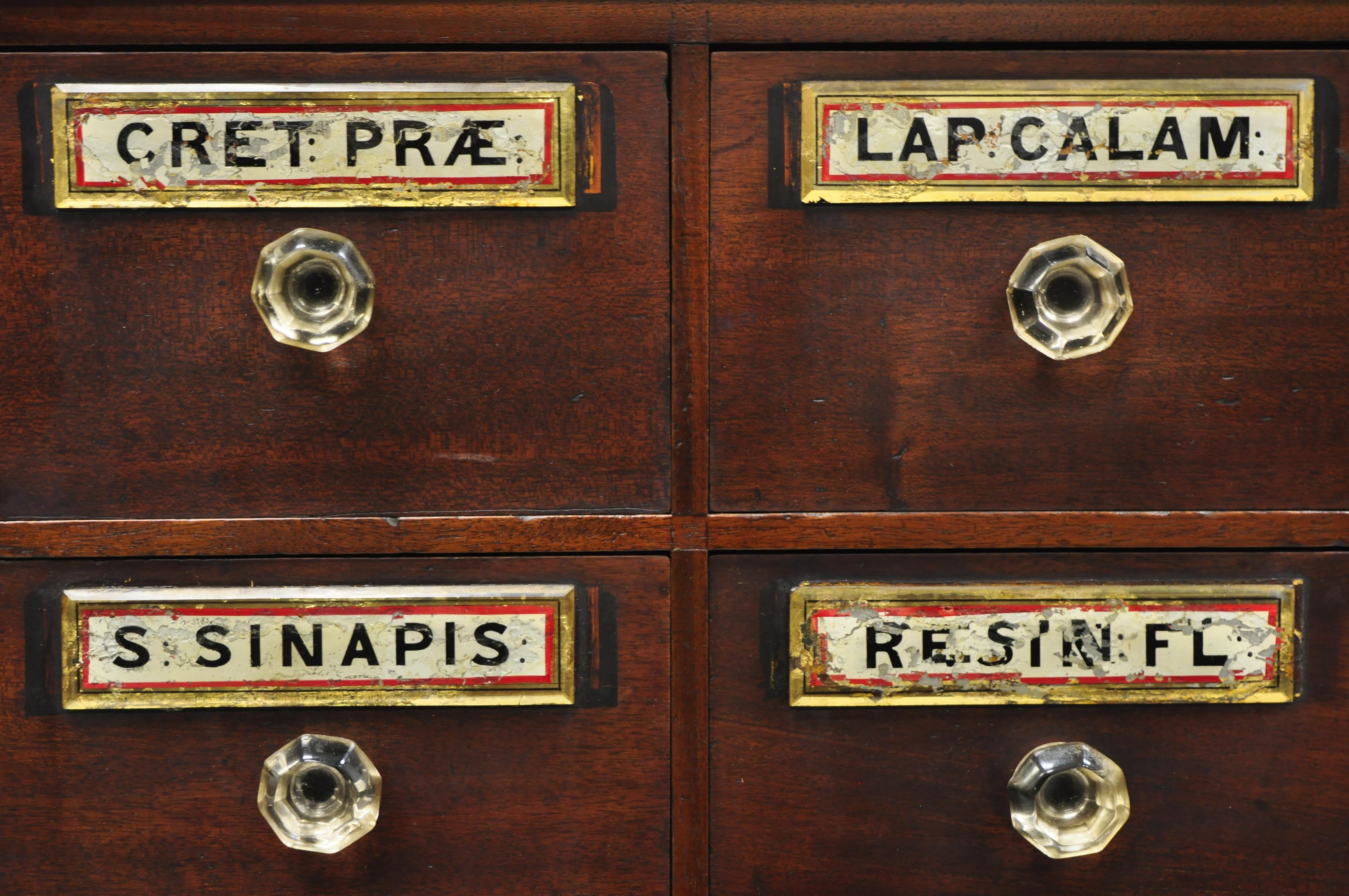 Armoire d'apothicaire du 19ème siècle en acajou avec 10 tiroirs et poignées en verre Bon état - En vente à Philadelphia, PA