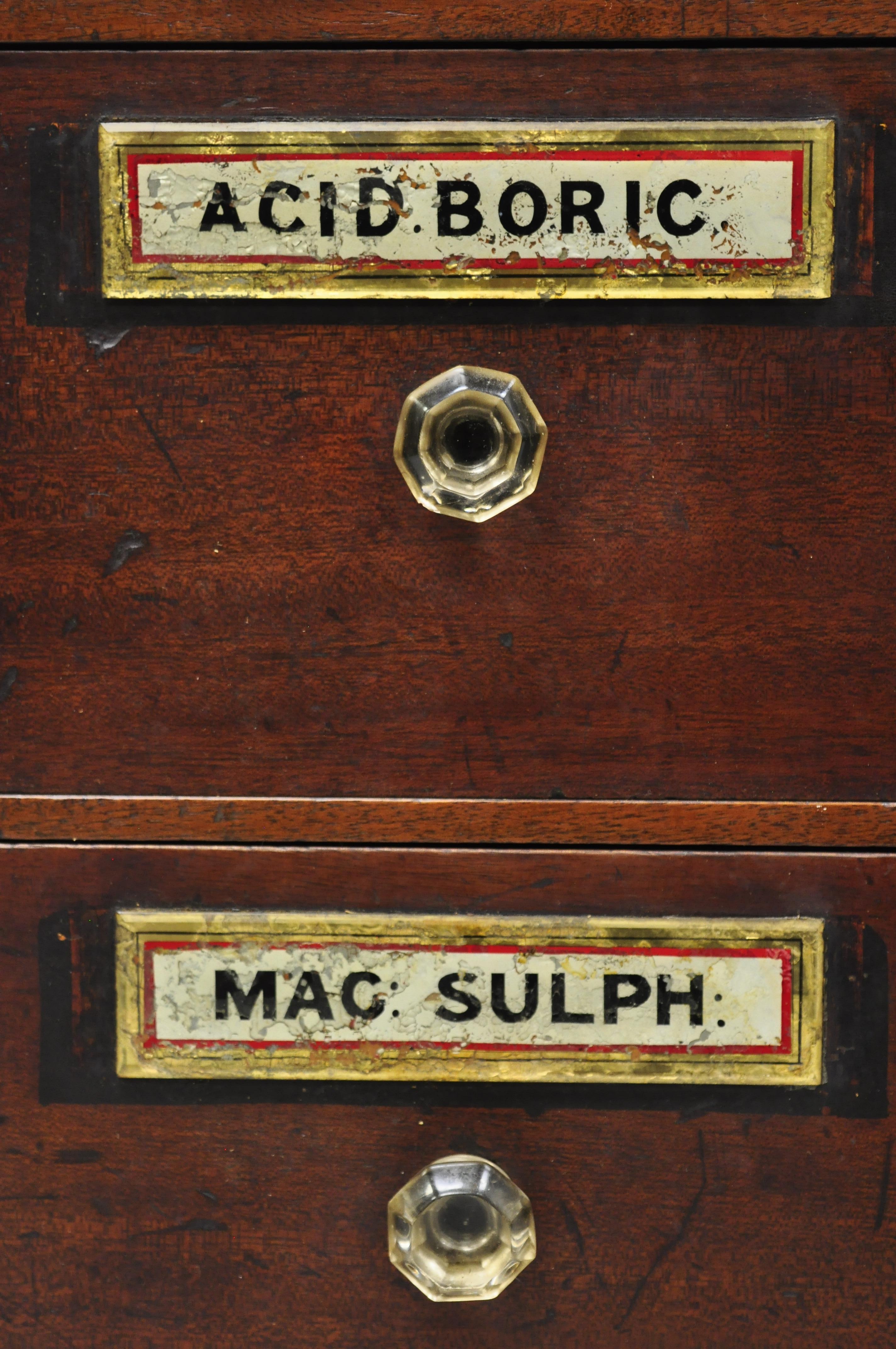 Apothekerschrank aus Mahagoni des 19. Jahrhunderts mit 10 Schubladen und Glasgriffen im Zustand „Gut“ im Angebot in Philadelphia, PA