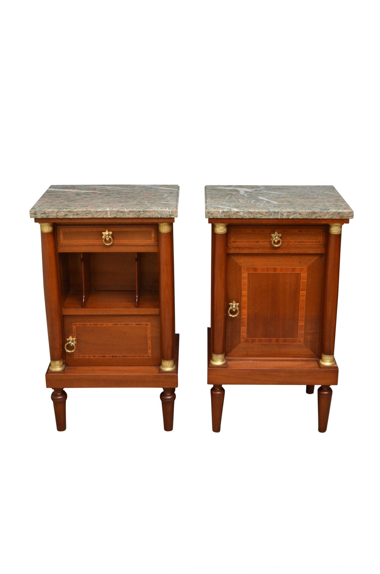 19th Century Mahogany Bedside Cabinets 5