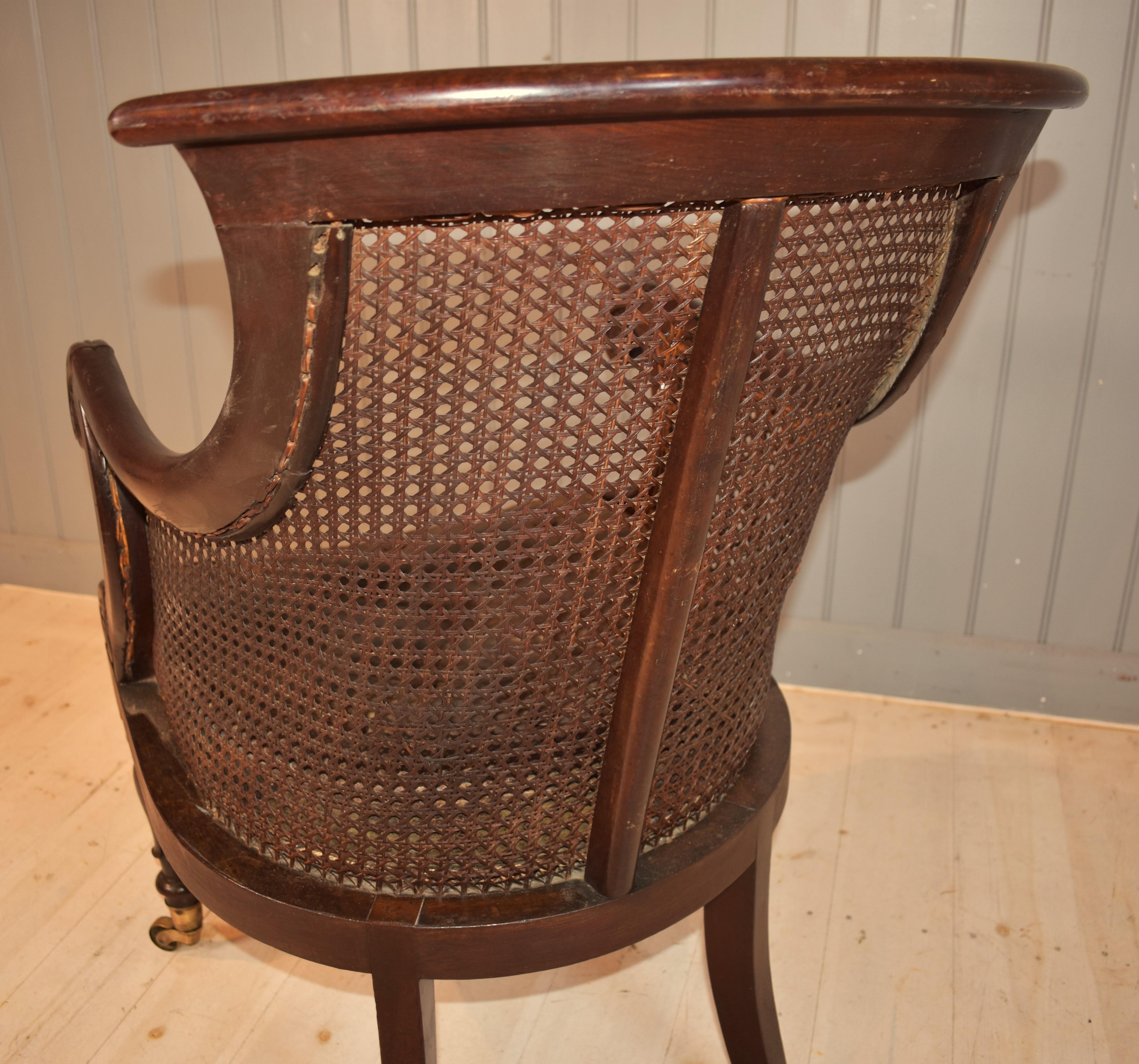 19th century mahogany bergere library cane chair 4