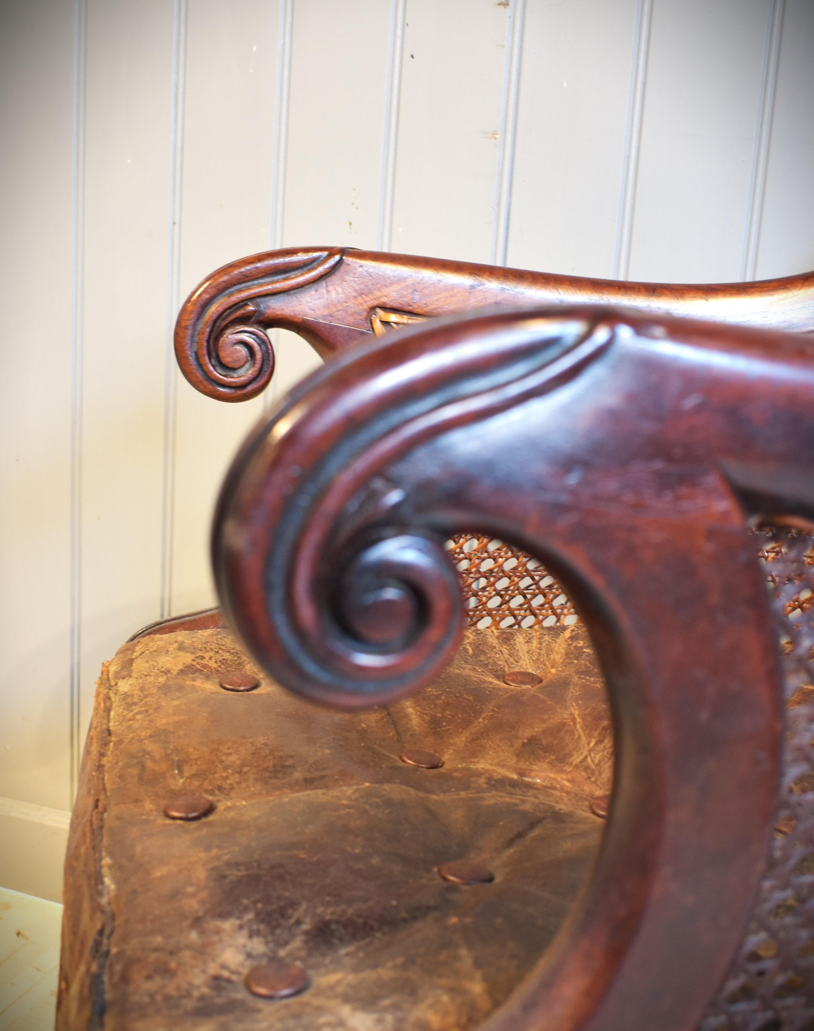 Regency 19th century mahogany bergere library cane chair
