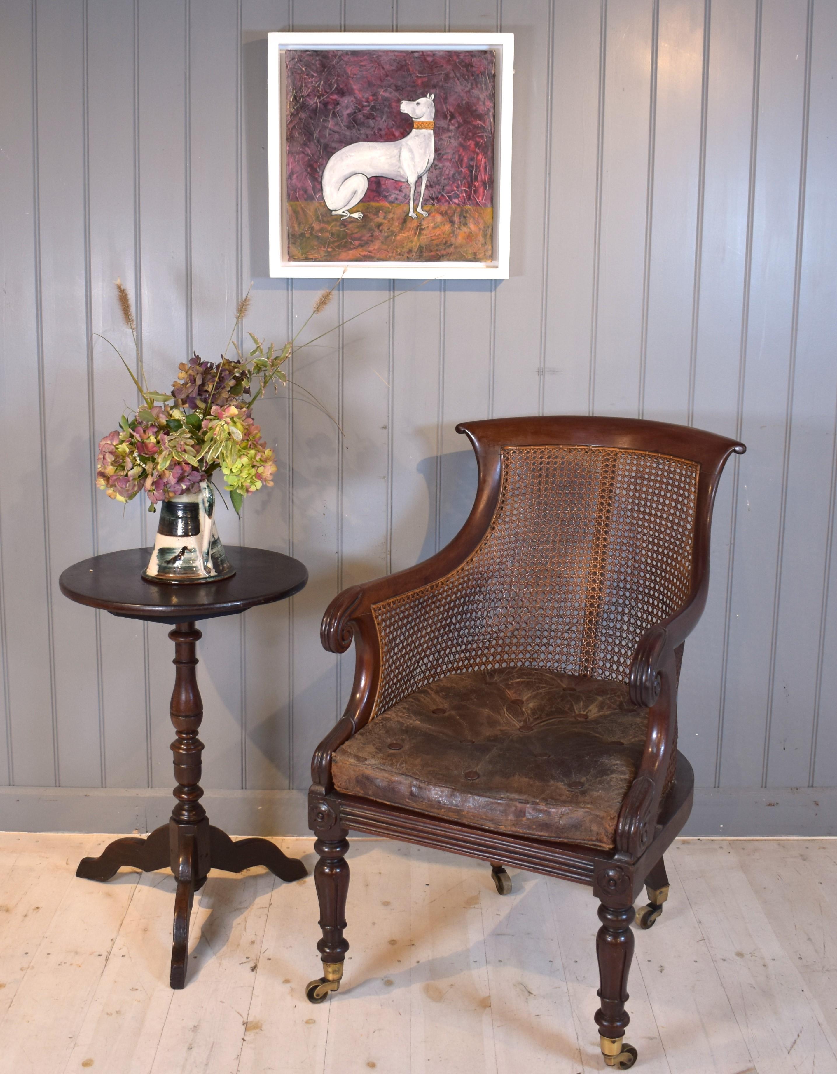 19th century mahogany bergere library cane chair In Good Condition In Penzance, GB